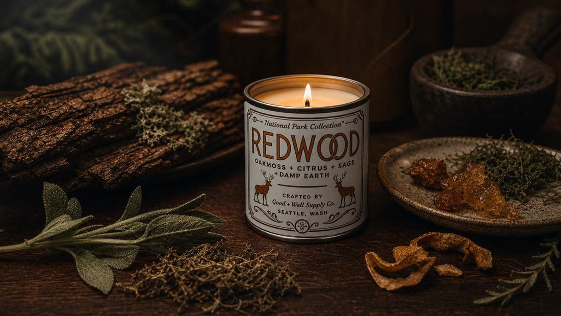 Redwood candle with oakmoss, sage, citrus peel, resin, and bark for dark home fragrance scent families