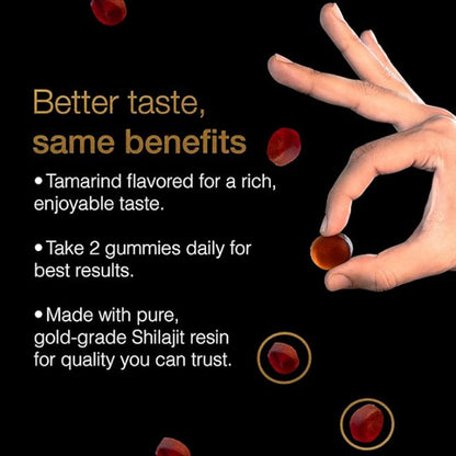 Premium Shilajit Gummies Natural Energy Immunity Mood Vegetarian Non-GMO Gummies