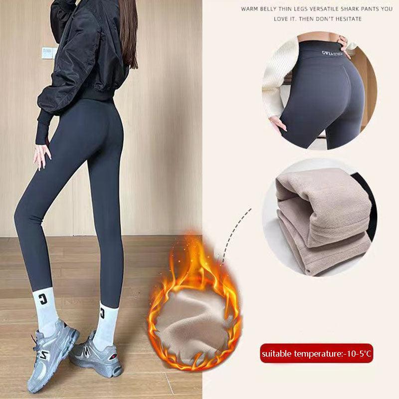 Fleece Thickened Leggings Winter -20 To 5 Shark Pants For Women - Hatuti