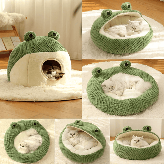 FroggyDreams Pet Haven - Hatuti