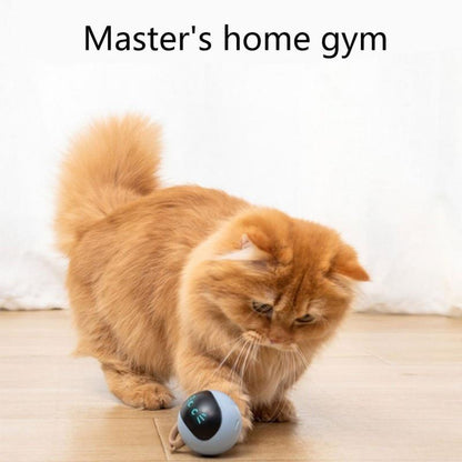 Interactive Self-Rolling Ball Cat Toy - Hatuti