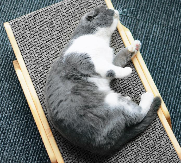 Wooden Cat Scratch Bed - Hatuti